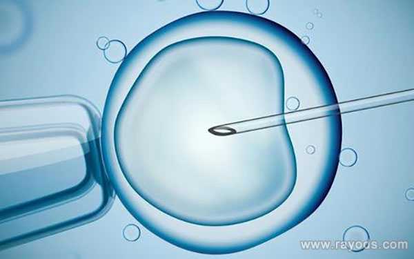 石渠县42岁供卵可以做双胞胎吗_冷冻卵子和冷冻胚胎对比，哪个试管成功率会更